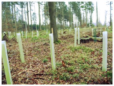 Wuchshülle Microvent VARIO Wing